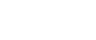 DentalRebel Inc.